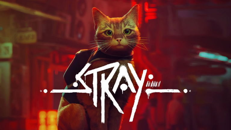 Stray se lanzará en formato físico para Nintendo Switch