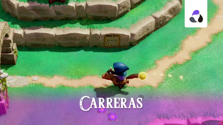 Todas las carreras y recompensas de Zelda: Echoes of Wisdom