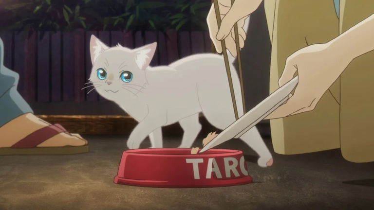 La película de anime que te hará amar más a los gatos. Está en Netflix y es una genial historia de romance