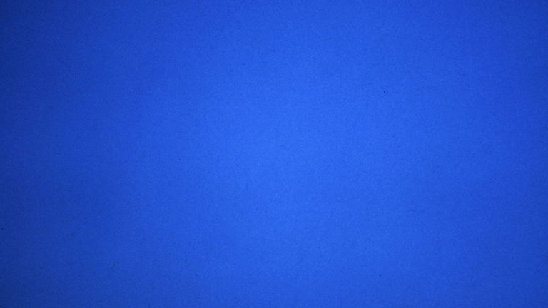Tiene 100% de aprobación en Rotten Tomatoes y, literalmente, es una imagen azul por 79 minutos