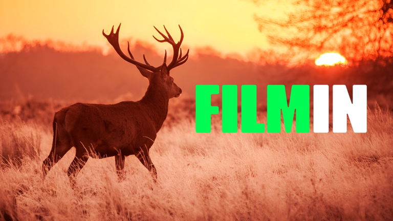 Está en Filmin y es una obra maestra: un drama devastador que expone el peligro de la mentira