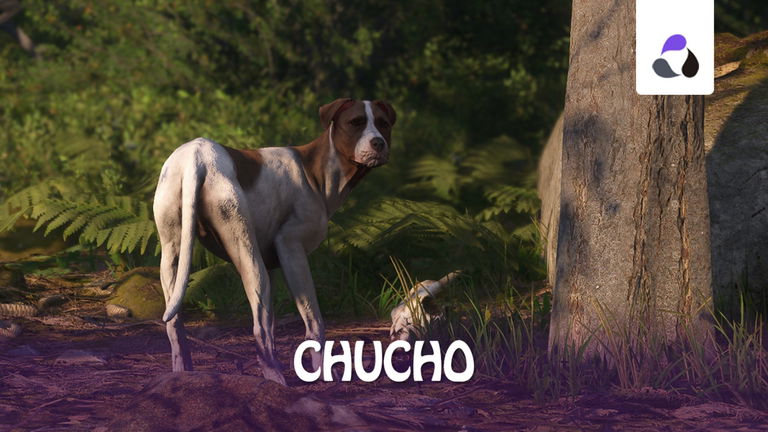 Dónde encontrar a Chucho en Kingdom Come: Deliverance 2