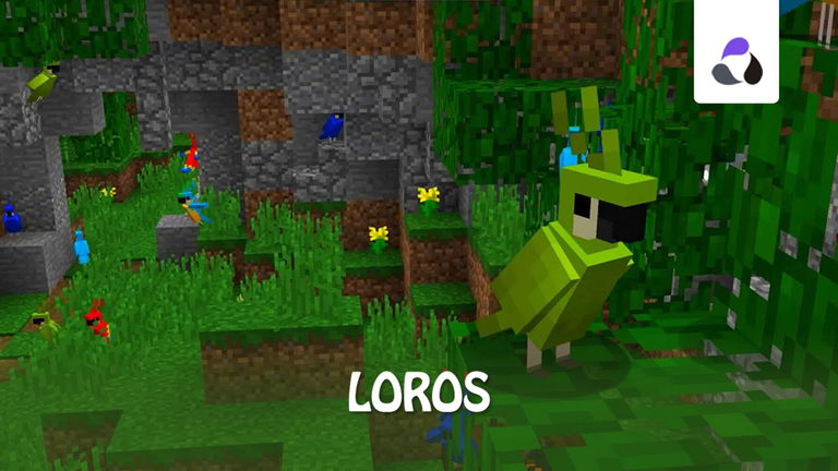 Loros en Minecraft: dónde encontrarlos y cómo domesticarlos