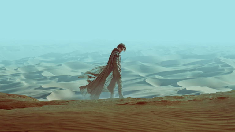El mejor papel que Timothée Chalamet podría tener en el DCEU de James Gunn es evidente